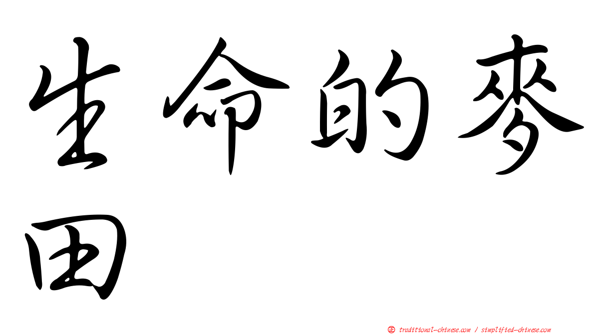 生命的麥田