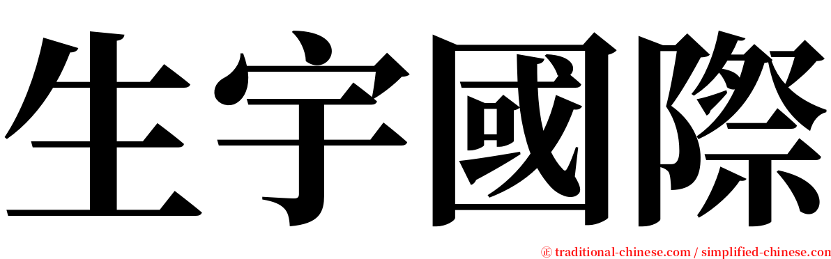 生宇國際 serif font