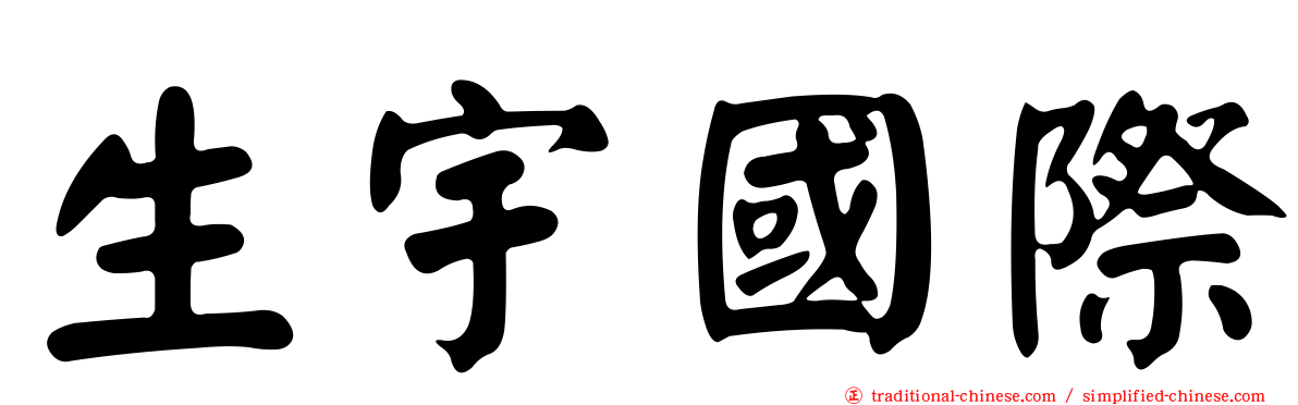 生宇國際