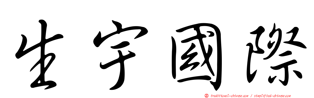 生宇國際