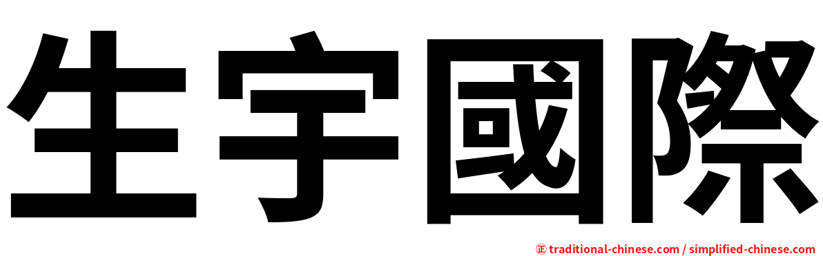 生宇國際