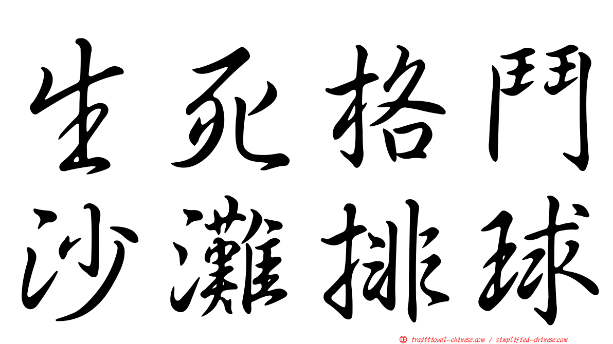 生死格鬥沙灘排球