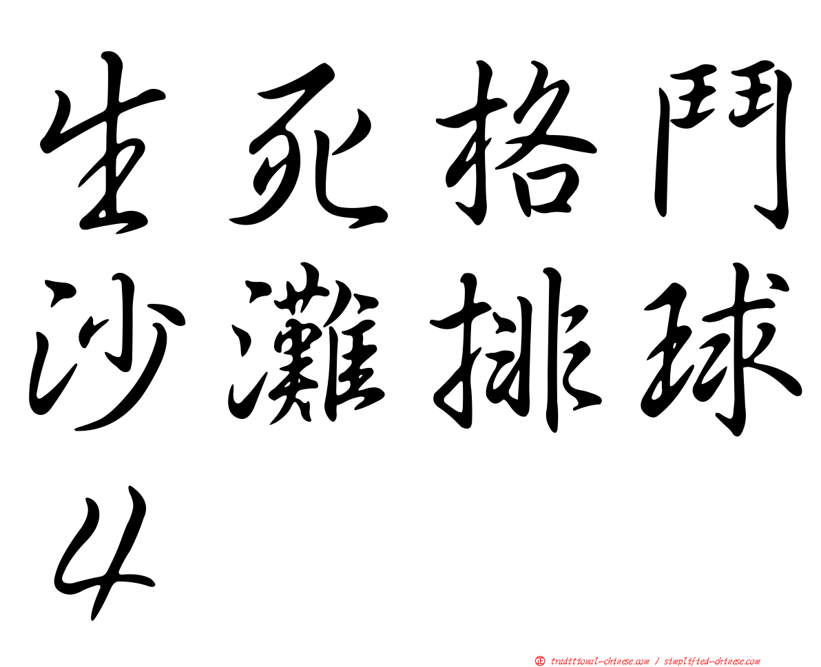 生死格鬥沙灘排球４