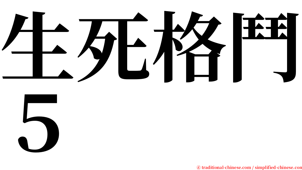 生死格鬥５ serif font