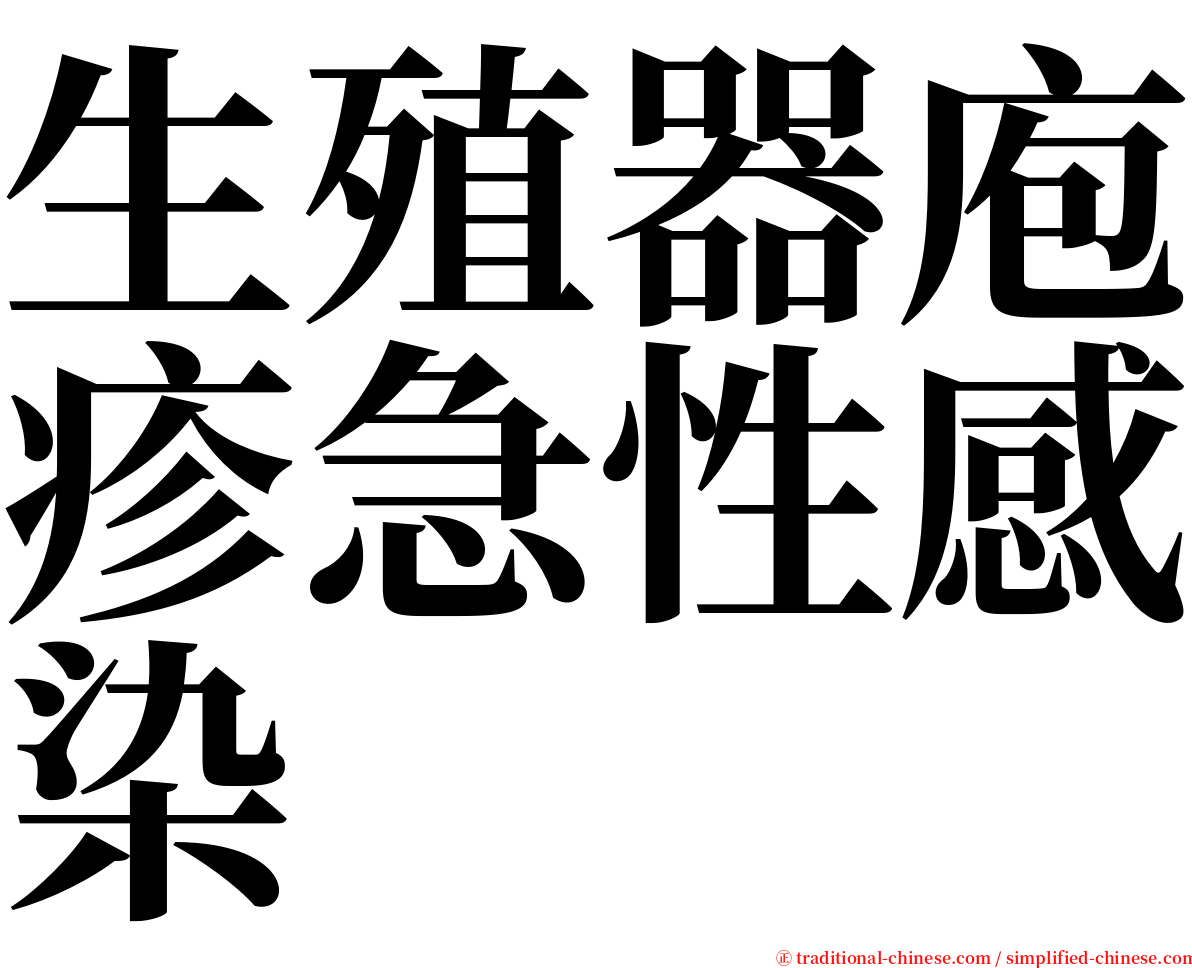 生殖器庖疹急性感染 serif font