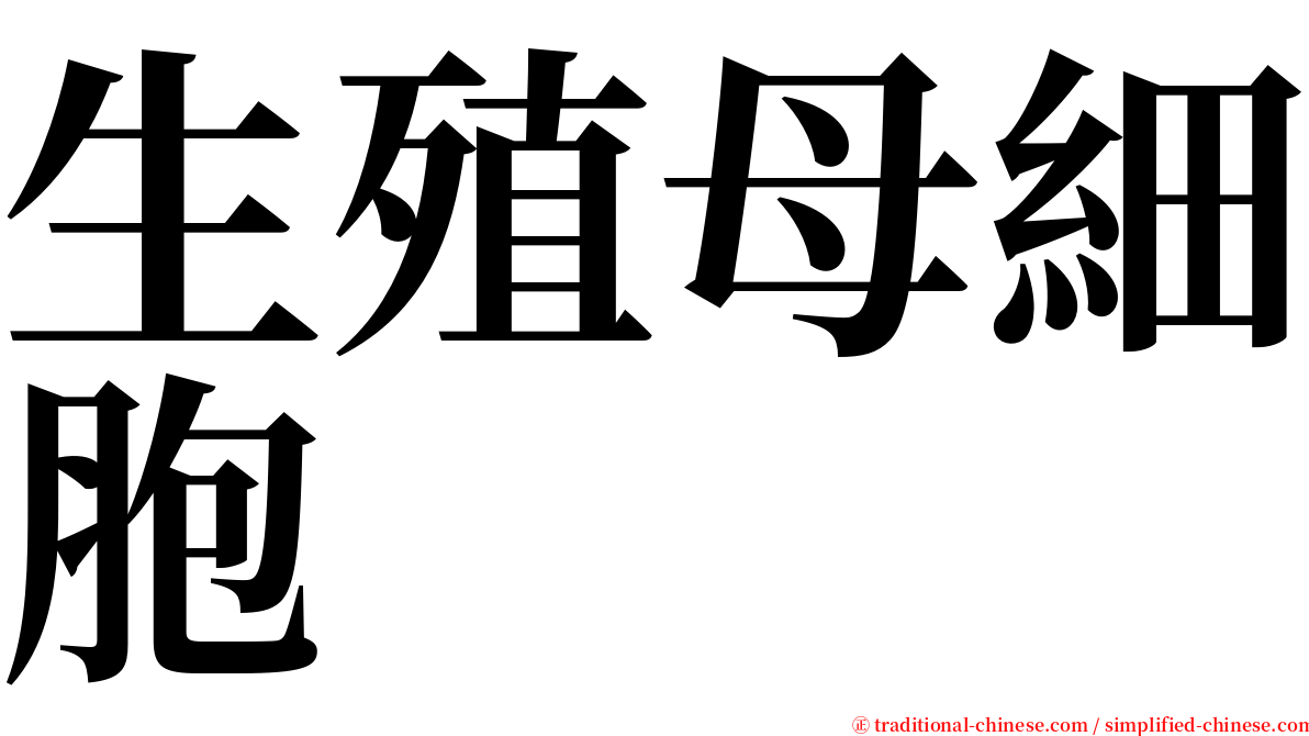 生殖母細胞 serif font