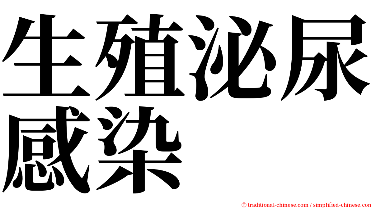 生殖泌尿感染 serif font