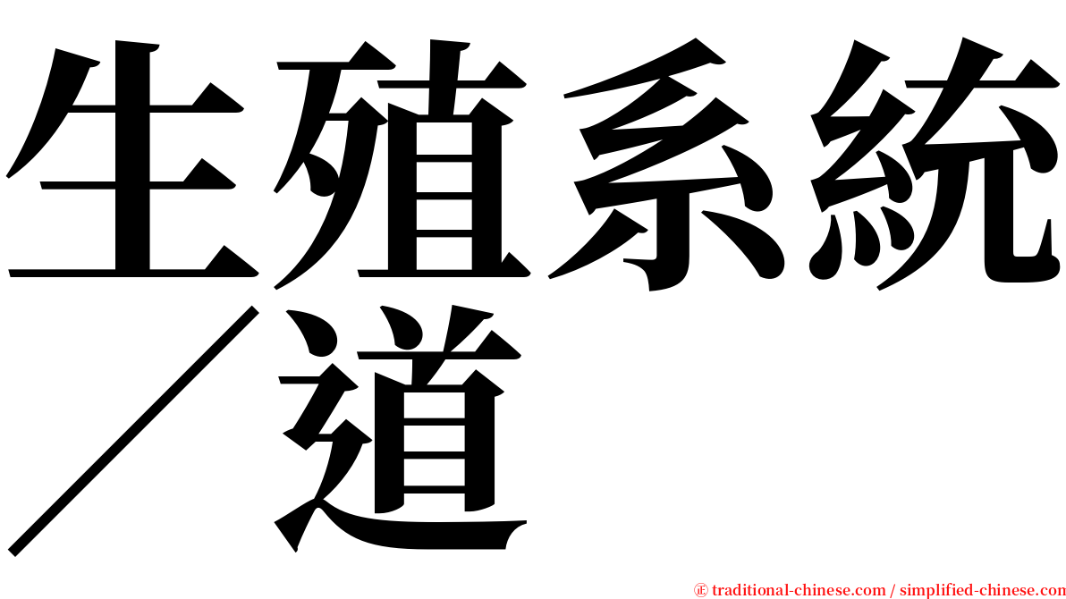 生殖系統∕道 serif font