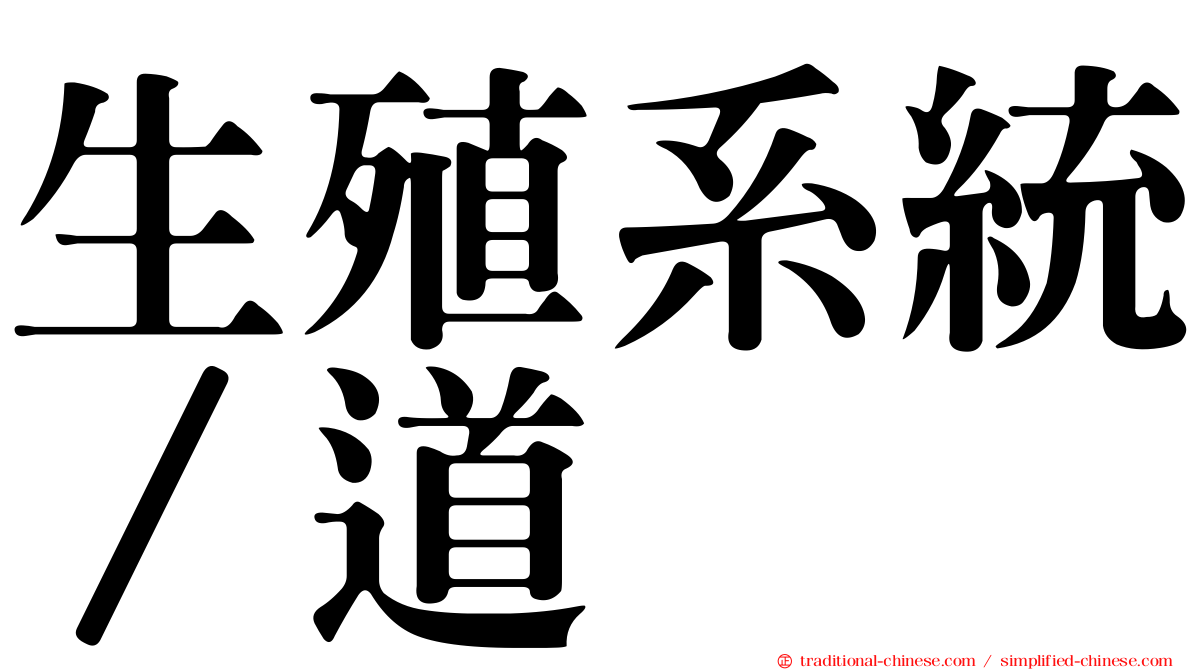 生殖系統∕道