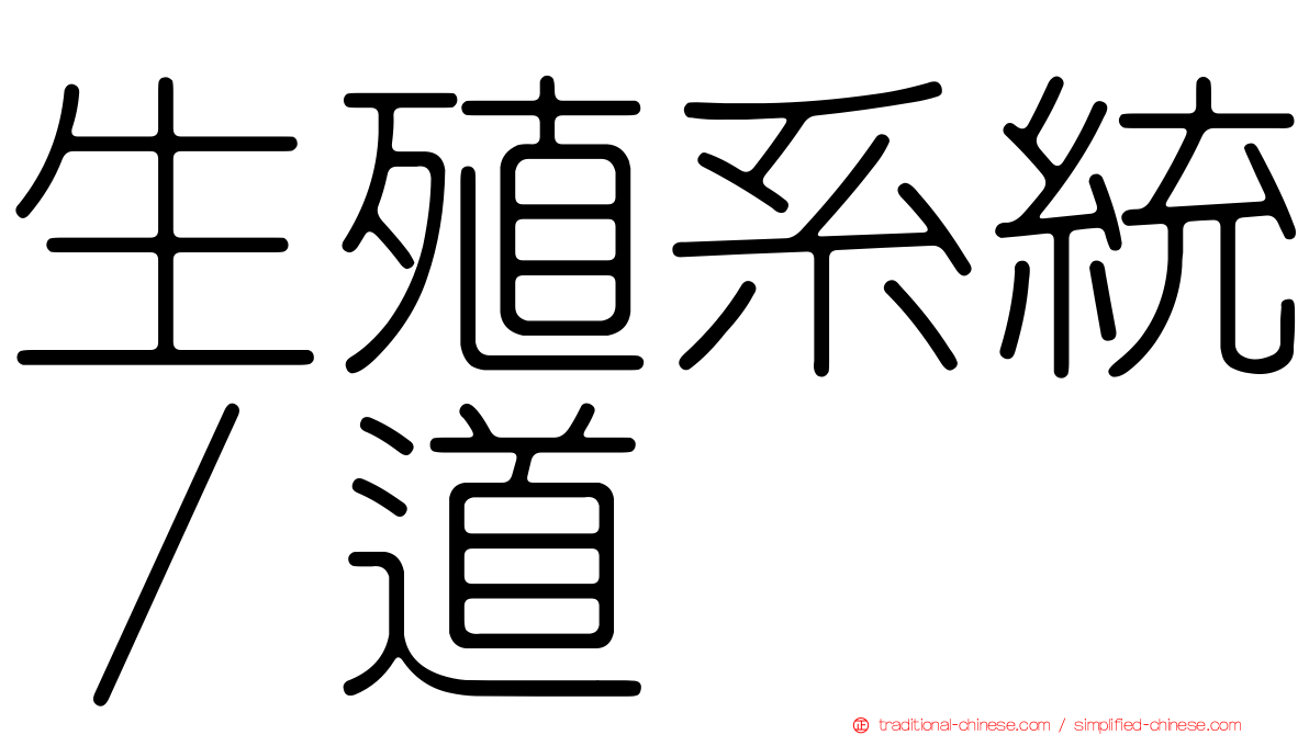 生殖系統∕道