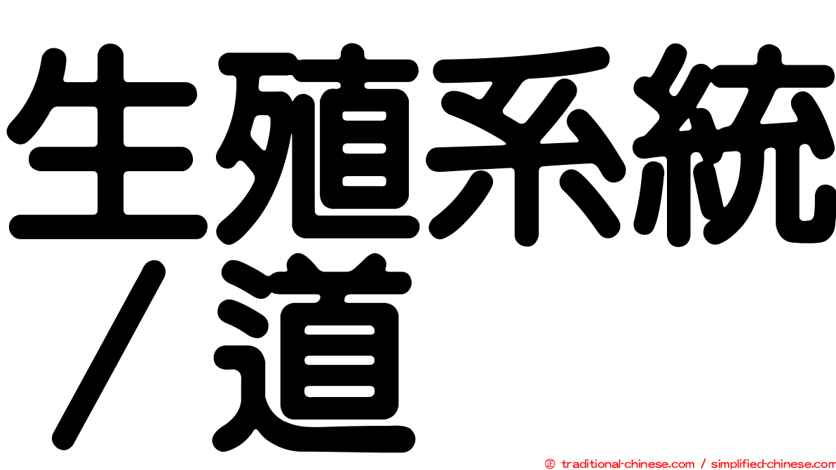 生殖系統∕道