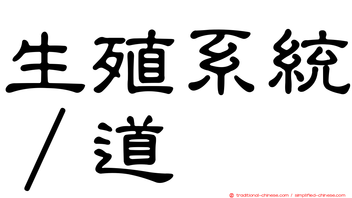 生殖系統∕道