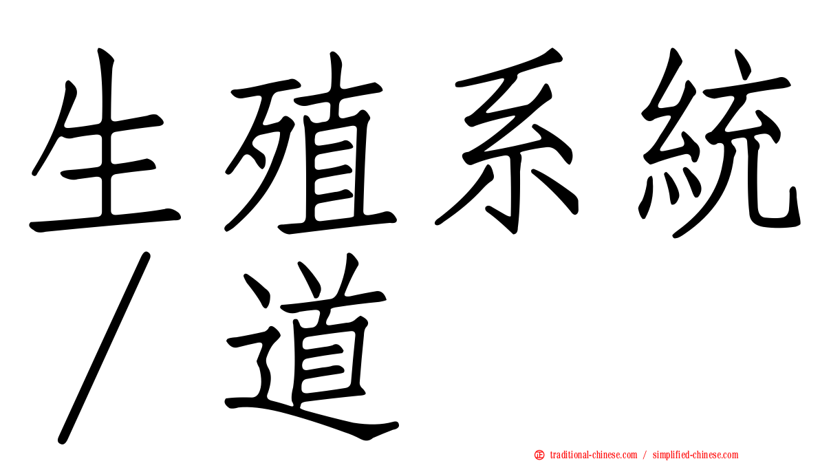 生殖系統∕道