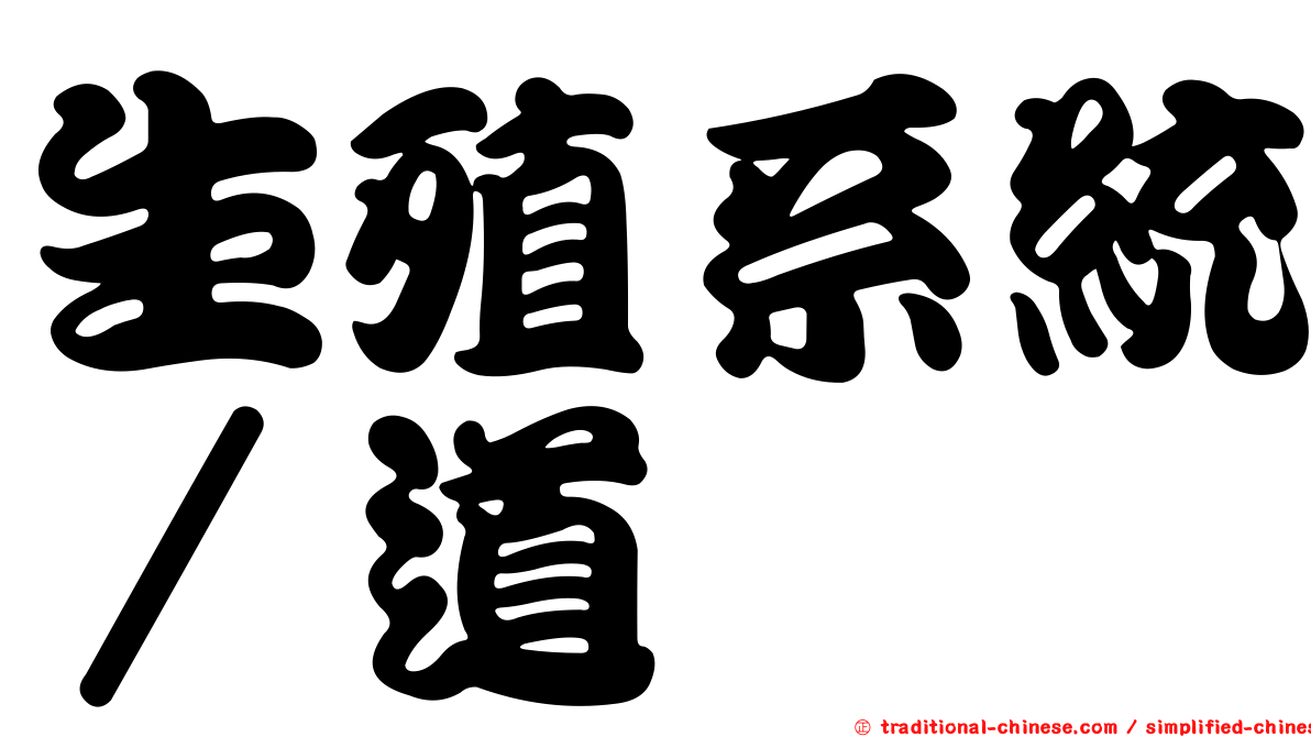 生殖系統∕道