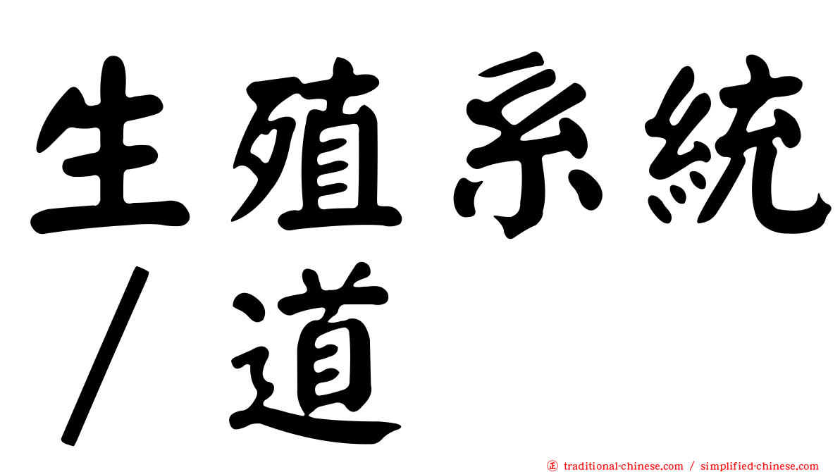 生殖系統∕道