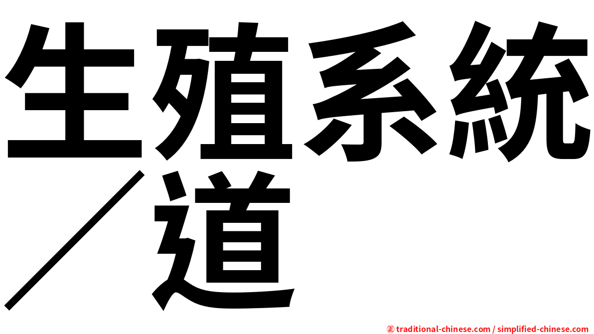 生殖系統∕道
