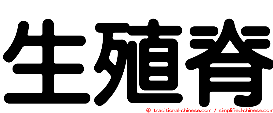 生殖脊