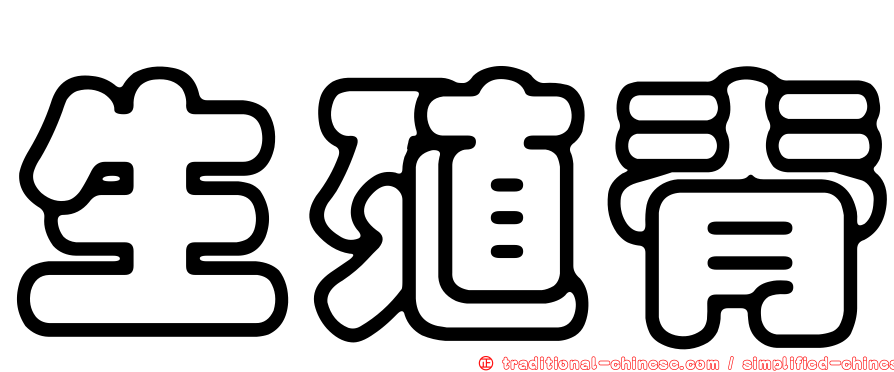生殖脊