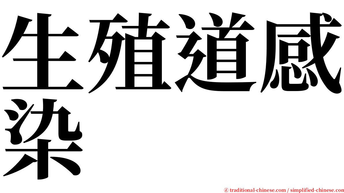 生殖道感染 serif font