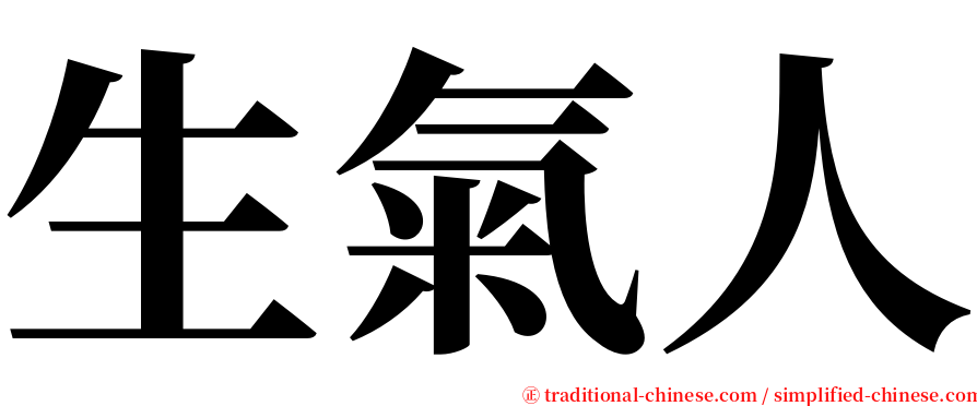 生氣人 serif font