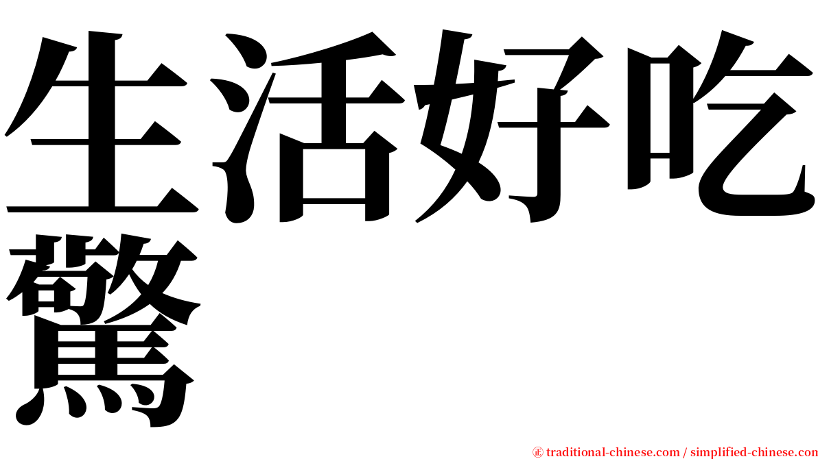 生活好吃驚 serif font