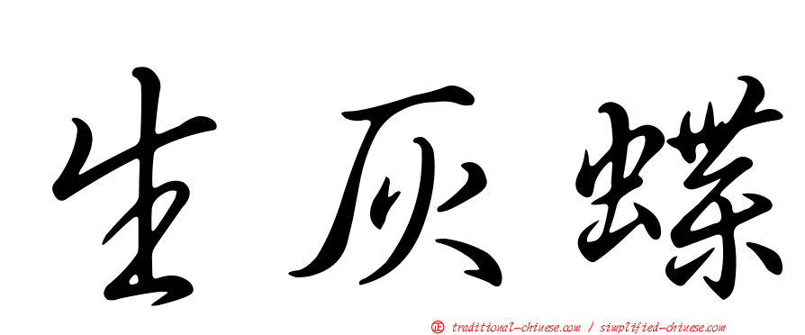 生灰蝶