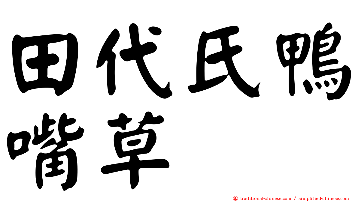 田代氏鴨嘴草