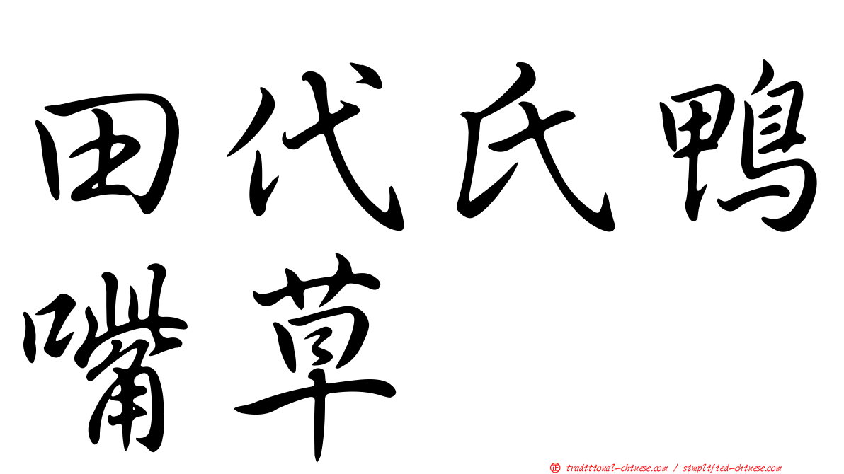 田代氏鴨嘴草