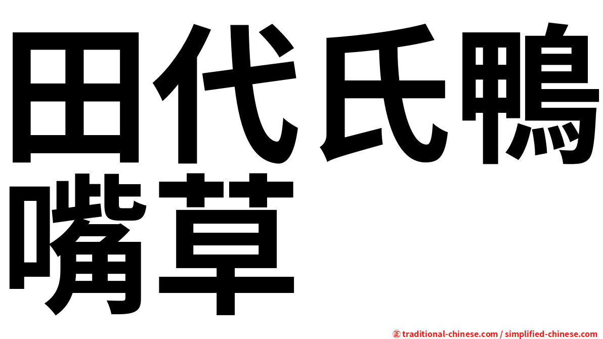 田代氏鴨嘴草
