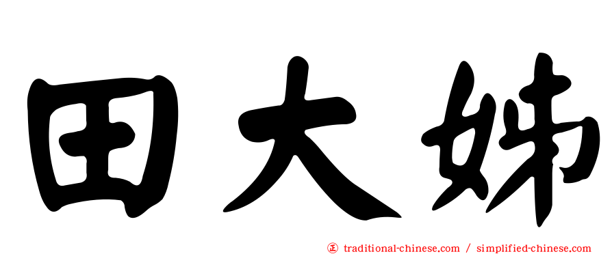 田大姊