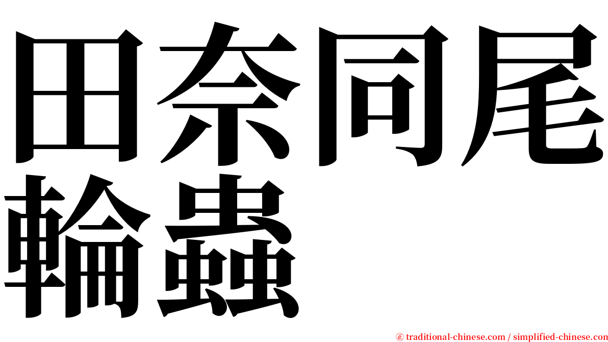 田奈同尾輪蟲 serif font