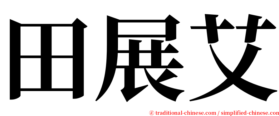 田展艾 serif font