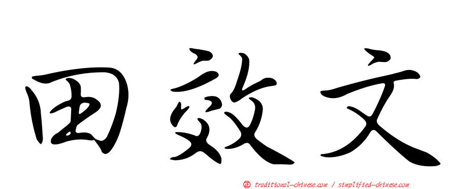 田效文