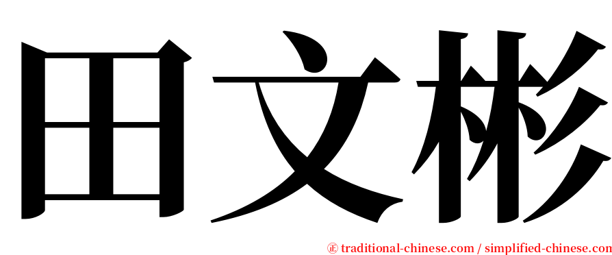 田文彬 serif font