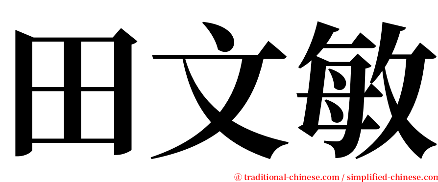 田文敏 serif font