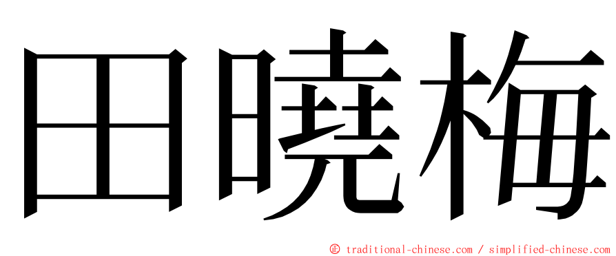 田曉梅 ming font
