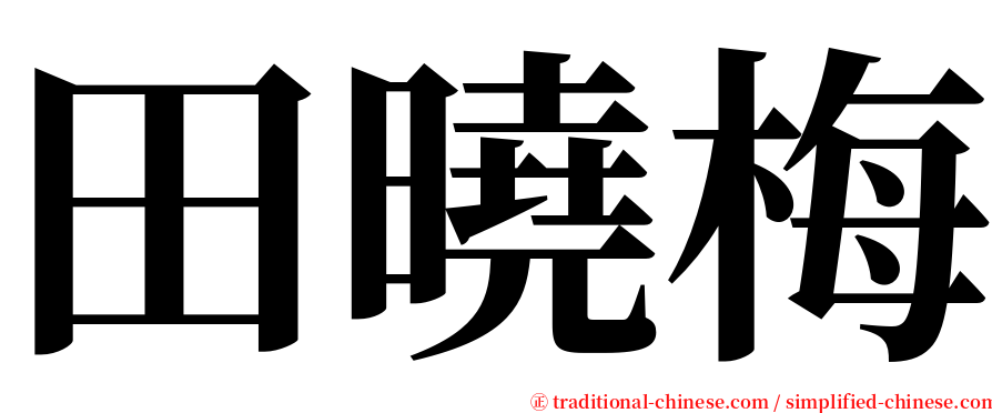 田曉梅 serif font