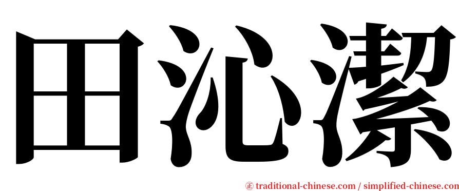 田沁潔 serif font