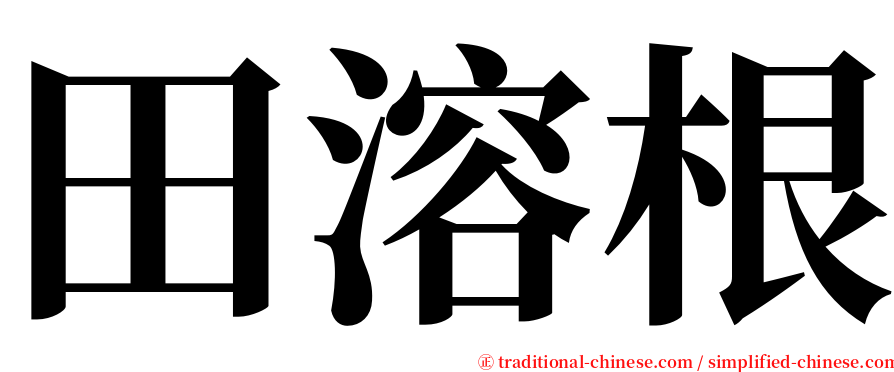 田溶根 serif font