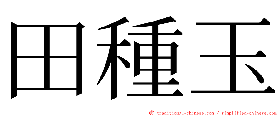 田種玉 ming font