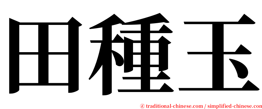 田種玉 serif font