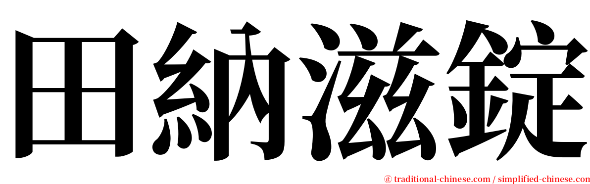 田納滋錠 serif font