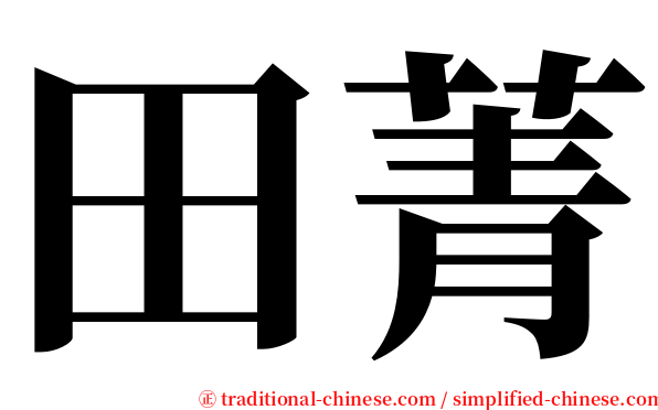 田菁 serif font