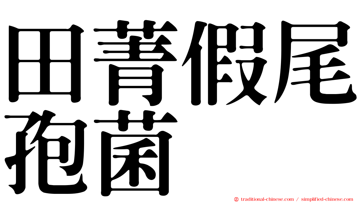田菁假尾孢菌
