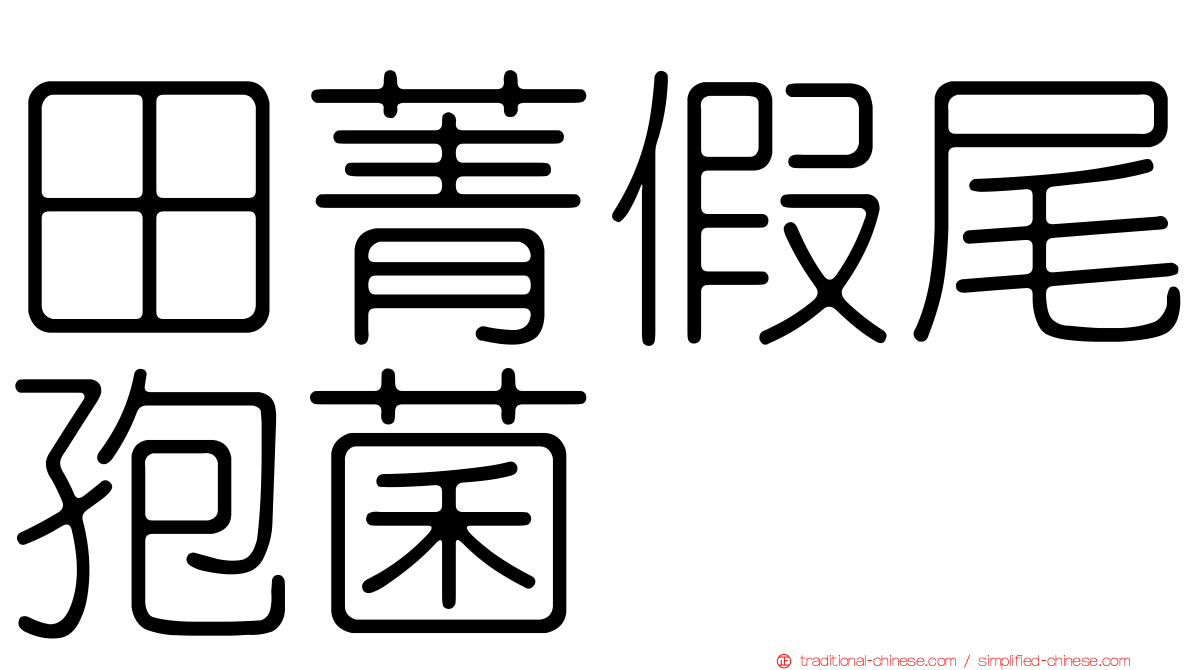 田菁假尾孢菌