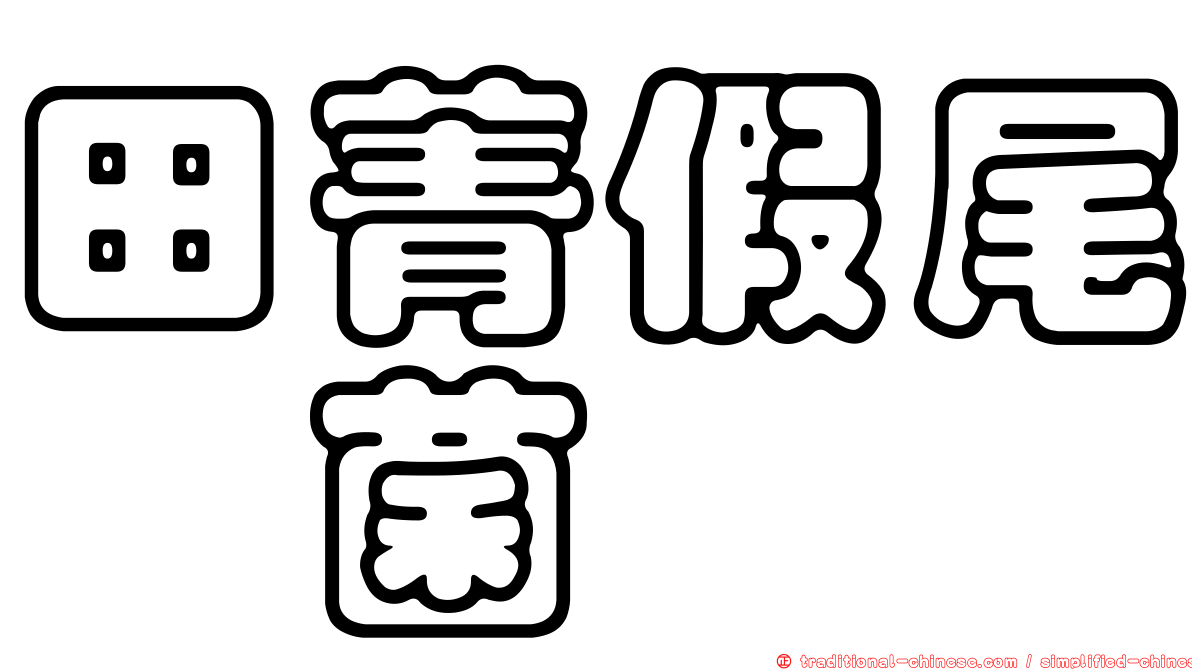 田菁假尾孢菌
