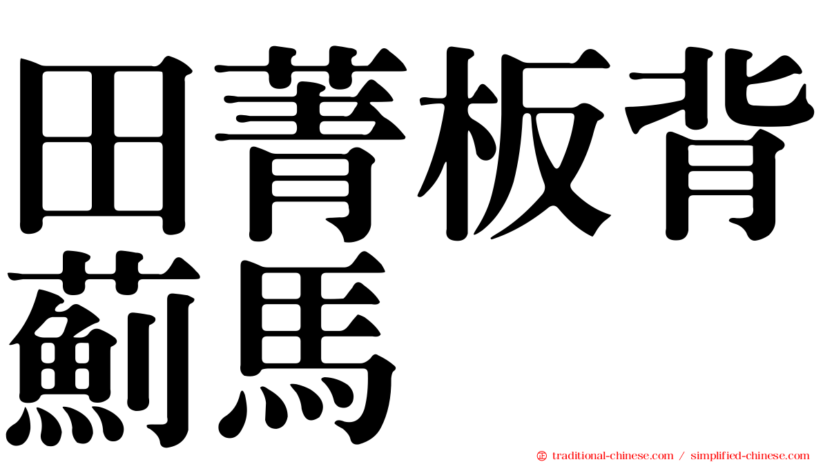 田菁板背薊馬