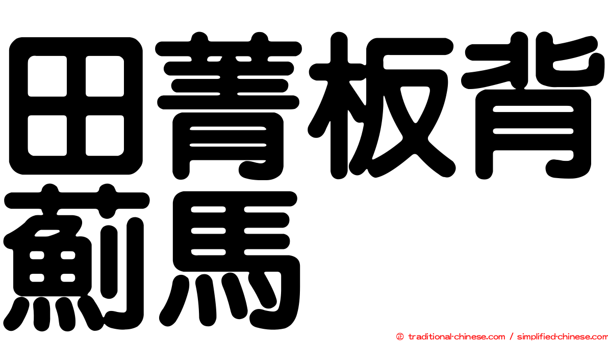 田菁板背薊馬