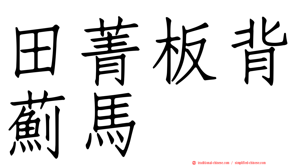 田菁板背薊馬