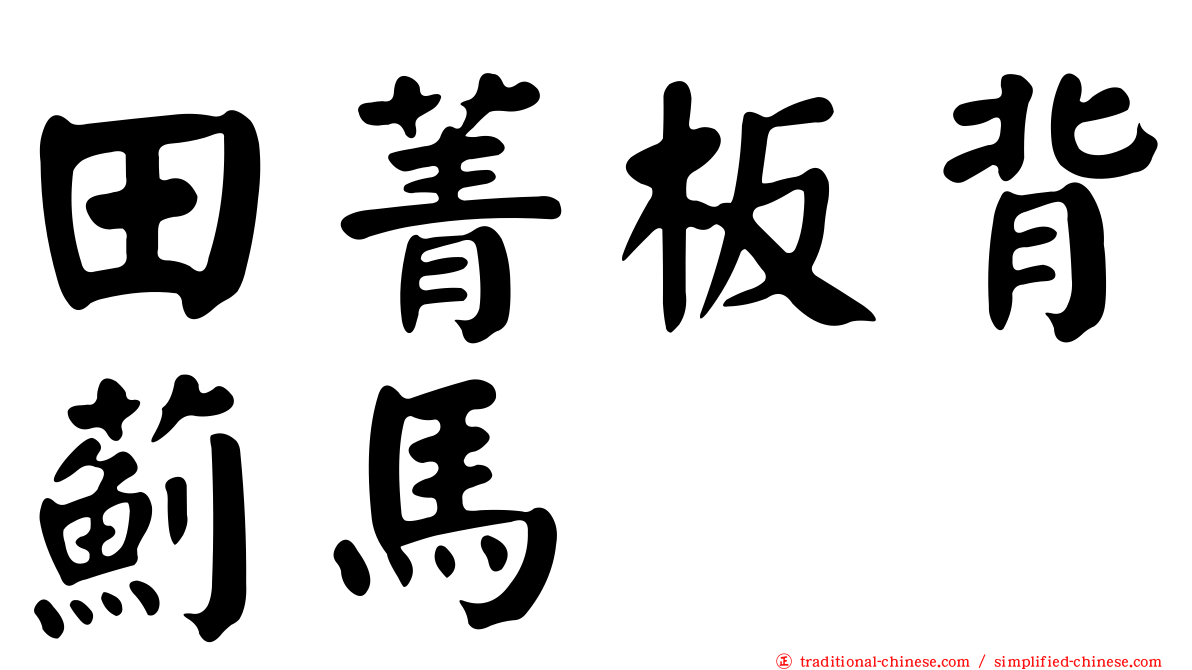 田菁板背薊馬
